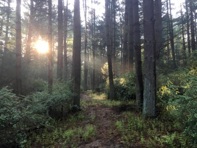 2018-05-11 07.15.15-min - Edited